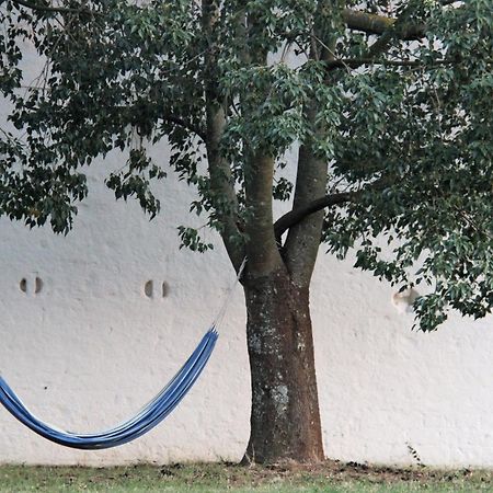 B&B Masseria Santanna Impalata Bagian luar foto