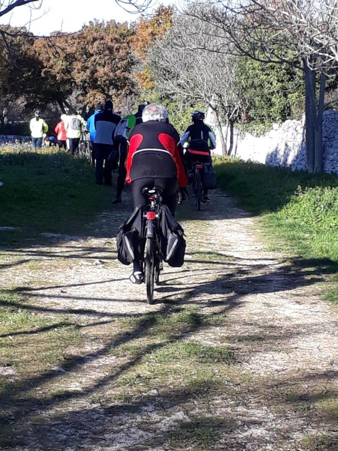 B&B Masseria Santanna Impalata Bagian luar foto