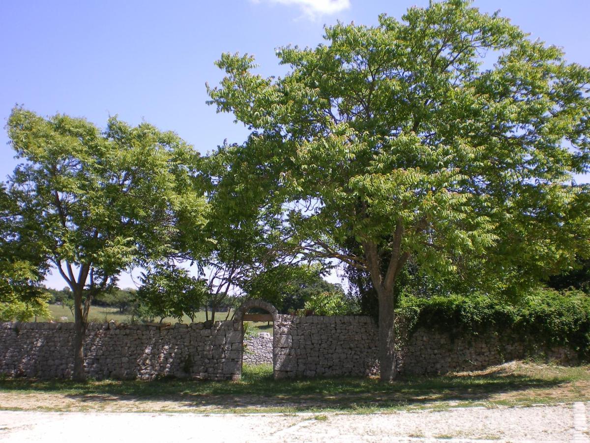 B&B Masseria Santanna Impalata Bagian luar foto